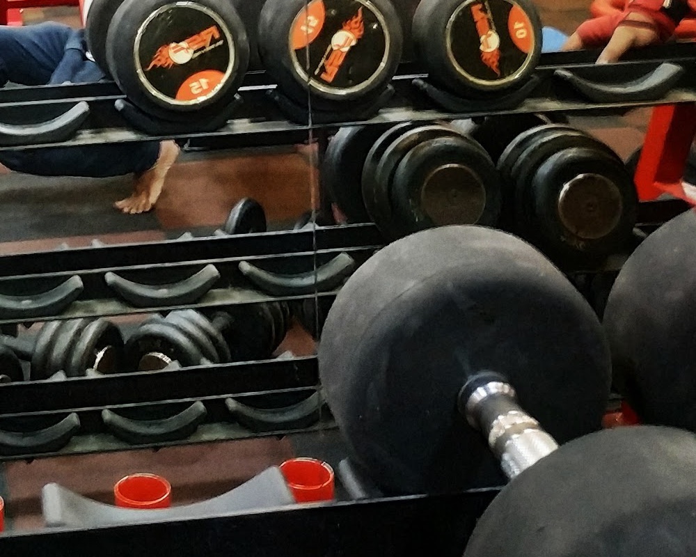 Heavy dumbbells on the red rack